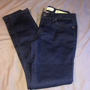 Indigo Rein Skinny Jeans